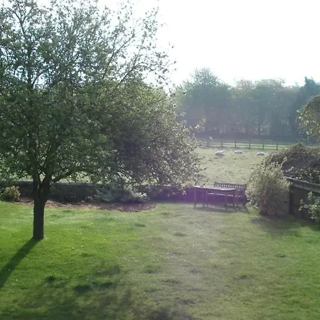 Well Cottage B&B-3